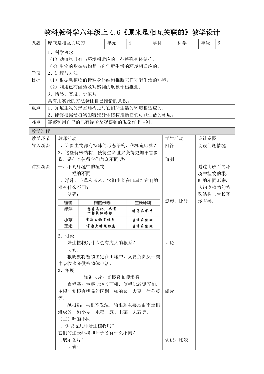 六年級上冊科學(xué)教案 - 4.6《原來是相互關(guān)聯(lián)的》教科版_第1頁