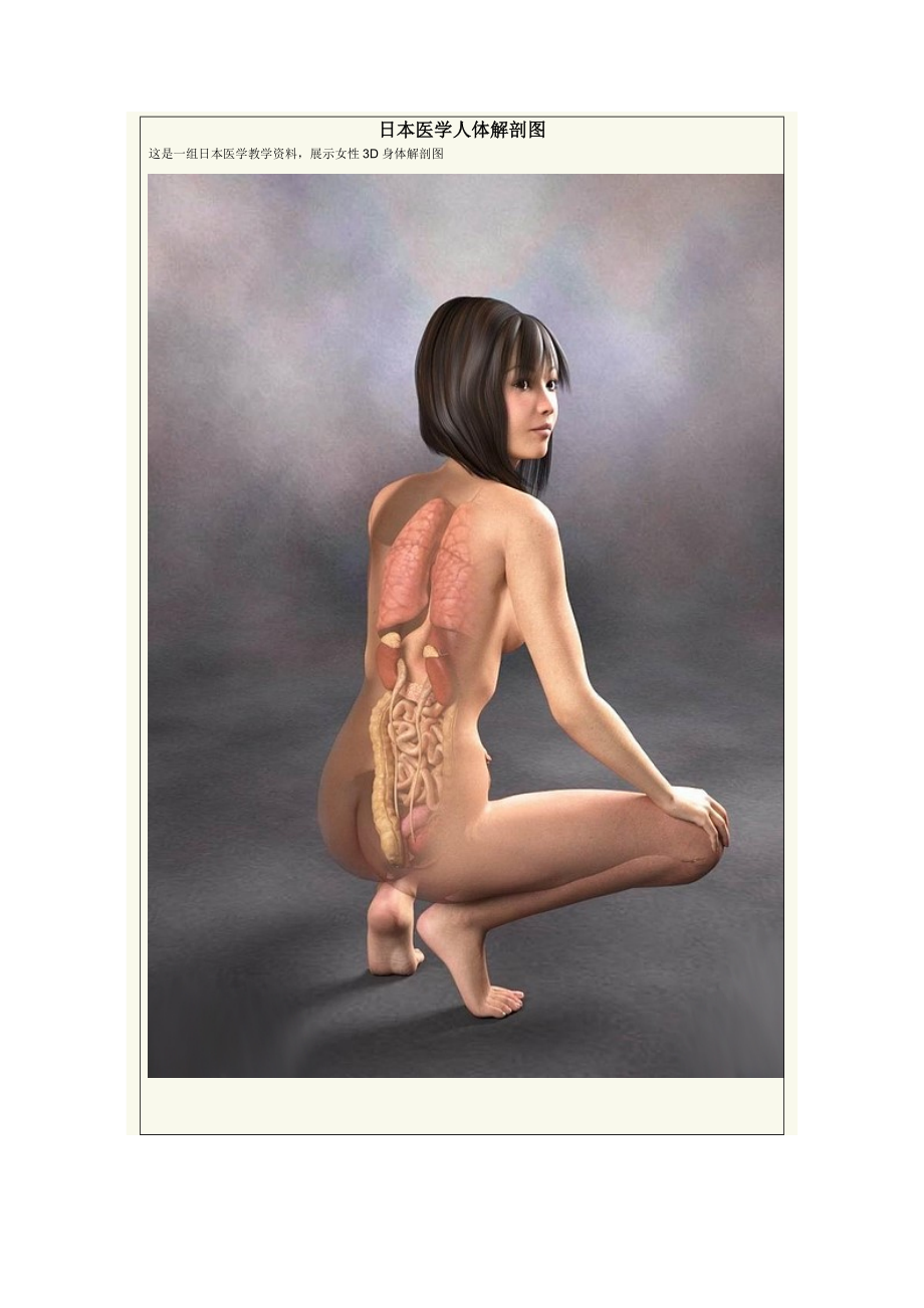 日本医学女性人体3D解剖图_第1页