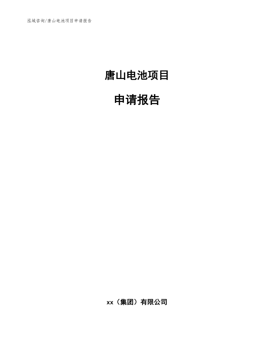 唐山电池项目申请报告（模板参考）_第1页