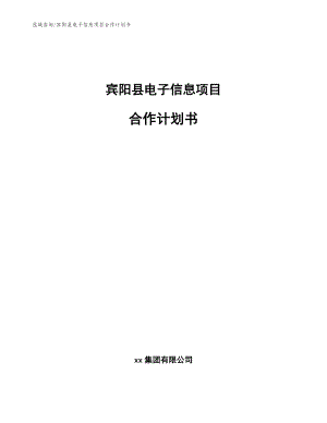 宾阳县电子信息项目合作计划书