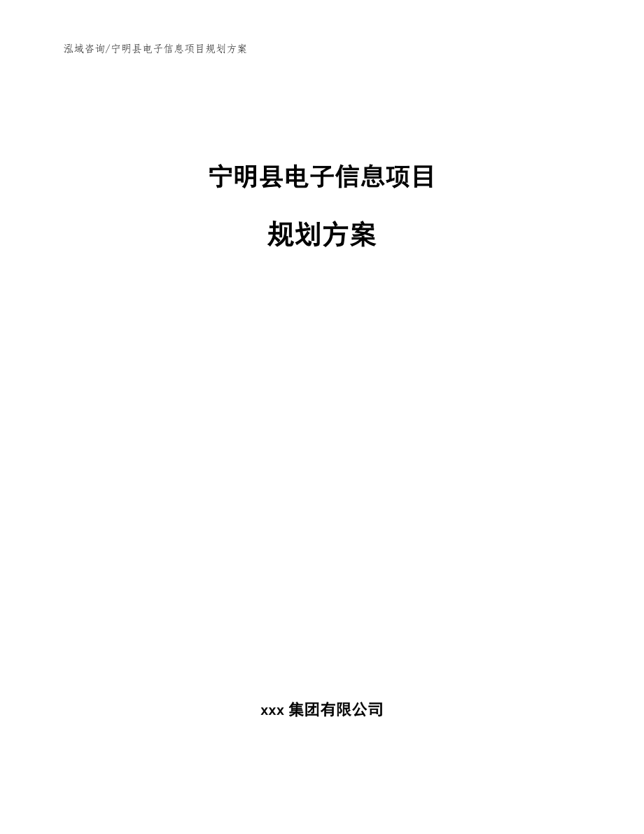 宁明县电子信息项目规划方案【参考模板】_第1页