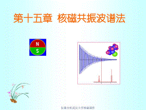 仪器分析武汉大学核磁课件