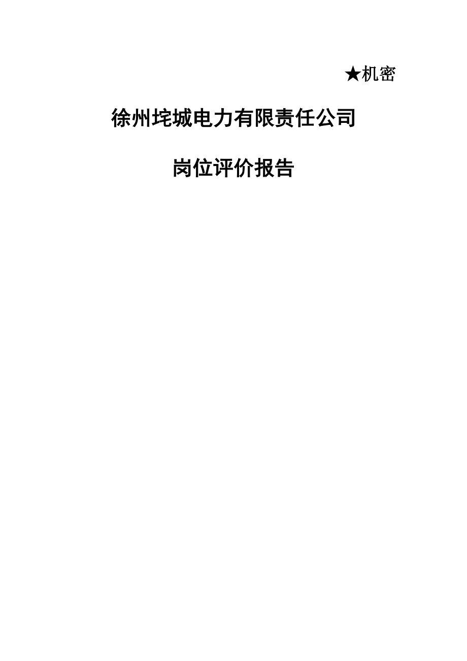 徐州垞电岗位评价综合报告_第1页