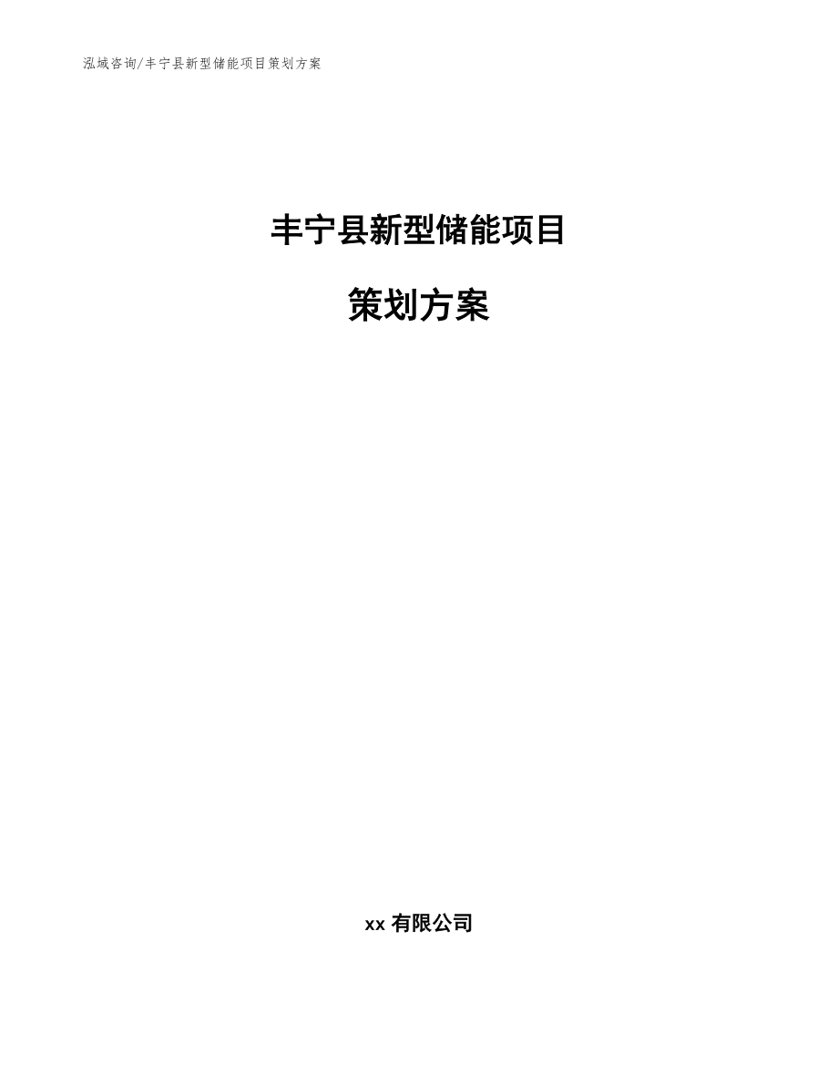 丰宁县新型储能项目策划方案范文参考_第1页