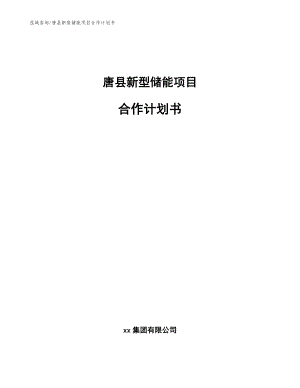 唐县新型储能项目合作计划书（模板参考）