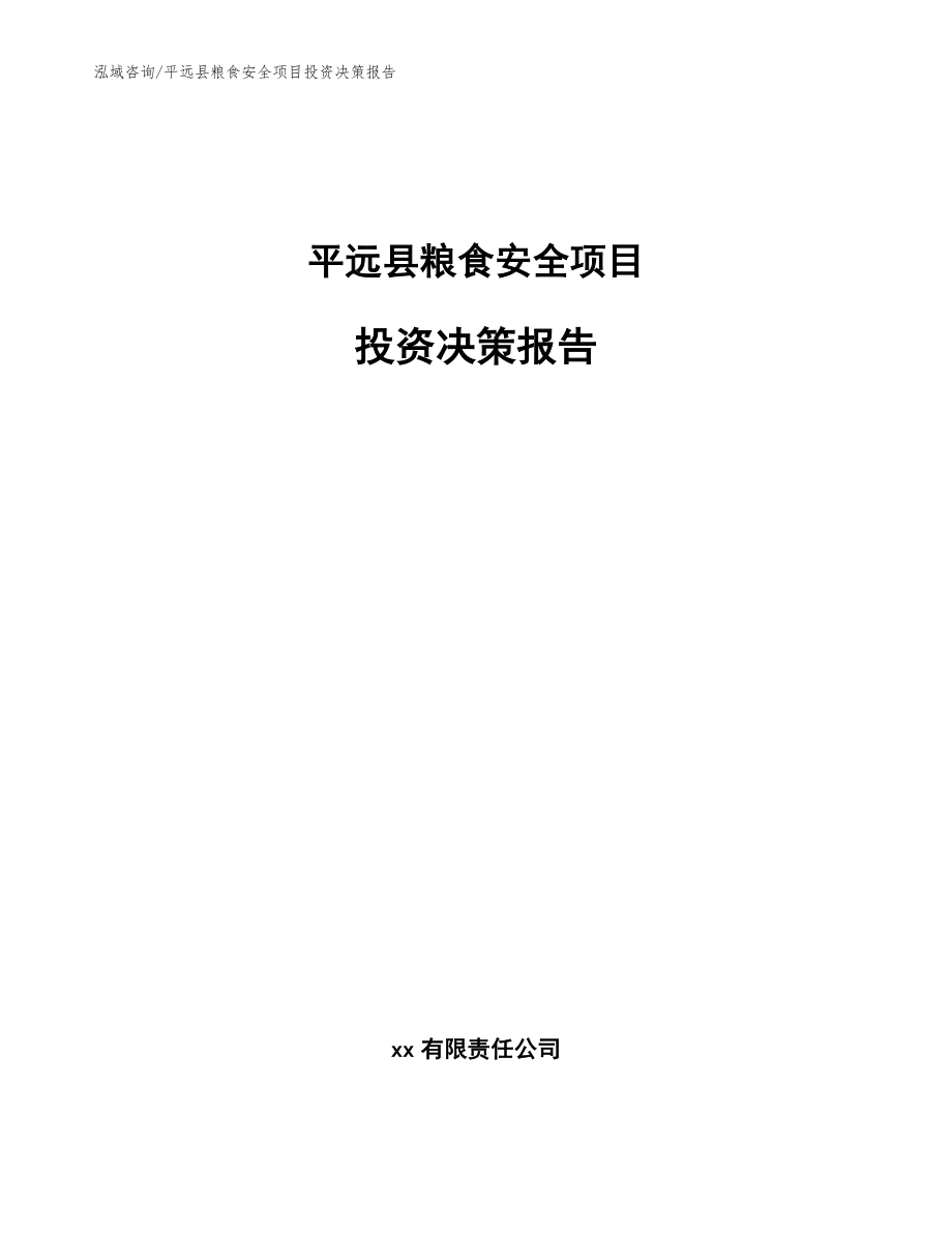 平远县粮食安全项目投资决策报告模板_第1页