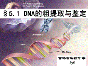 专题五DNA的粗提取与鉴定3
