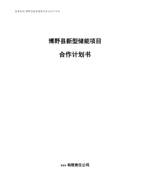 博野县新型储能项目合作计划书（模板范文）