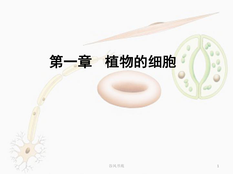 藥用植物學(xué)-植物的細(xì)胞[醫(yī)藥薈萃]_第1頁