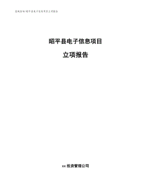昭平县电子信息项目立项报告模板