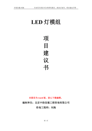 LED灯模组项目建议书写作模板