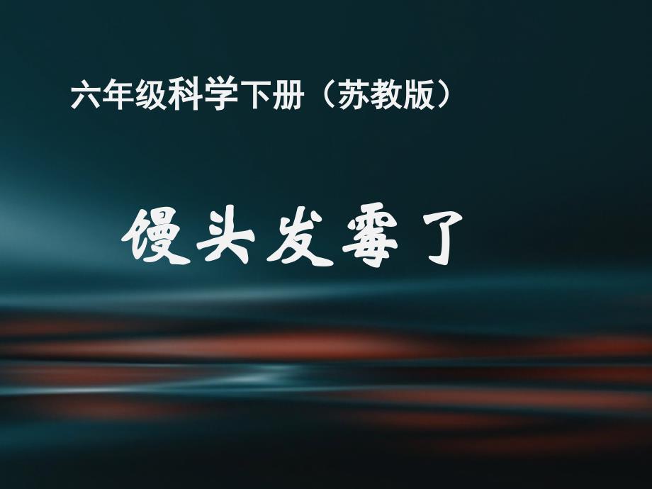 六年级上册科学课件1.3馒头发霉了苏教版共22张PPT_第1页