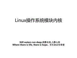 Linux操作系统模块内核