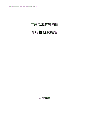 广州电池材料项目可行性研究报告_模板范文