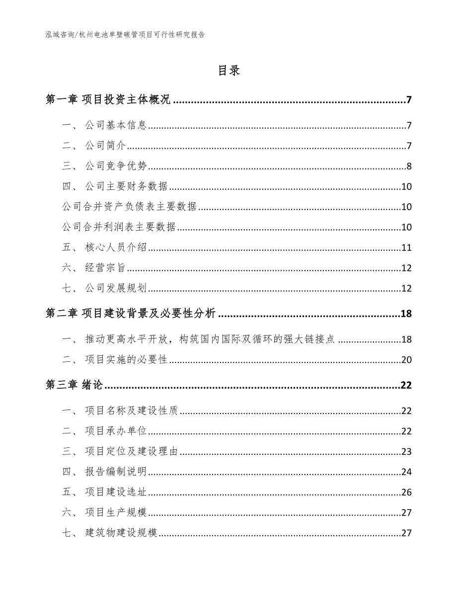 杭州电池单壁碳管项目可行性研究报告_第1页