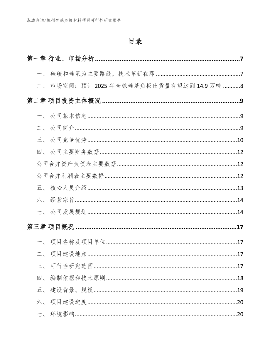 杭州硅基负极材料项目可行性研究报告_第1页