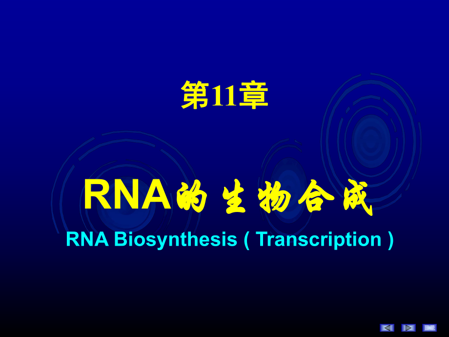 第十一章 RNA的生物合成_第1頁(yè)