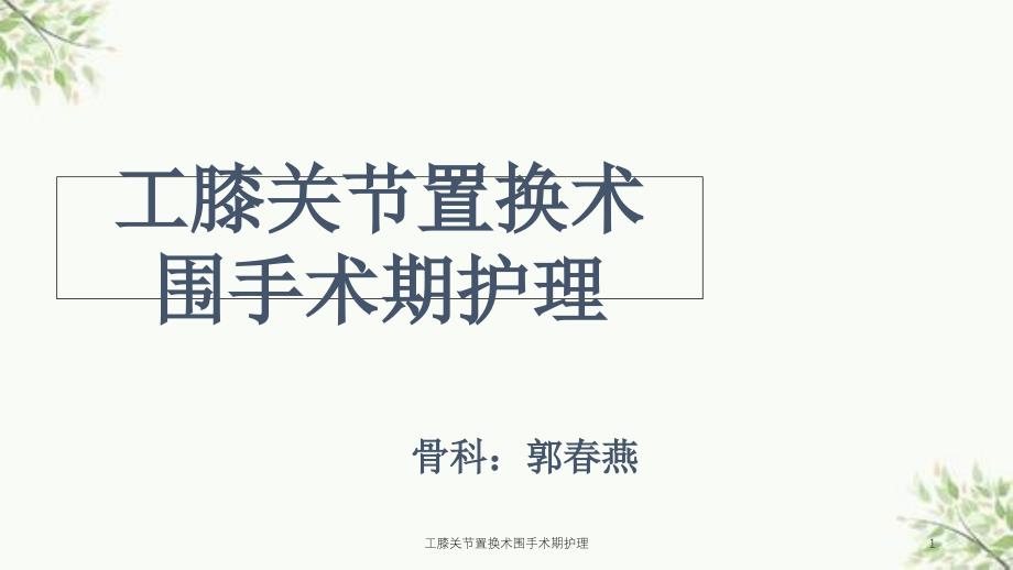 工膝关节置换术围手术期护理ppt课件_第1页