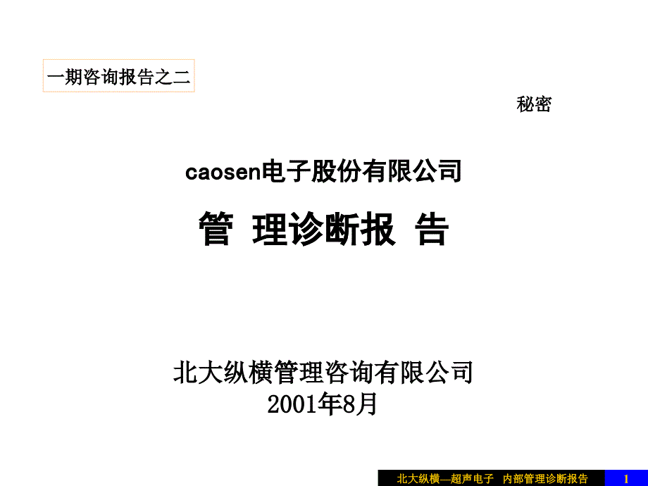 某电子股份有限公司管理诊断报告_第1页