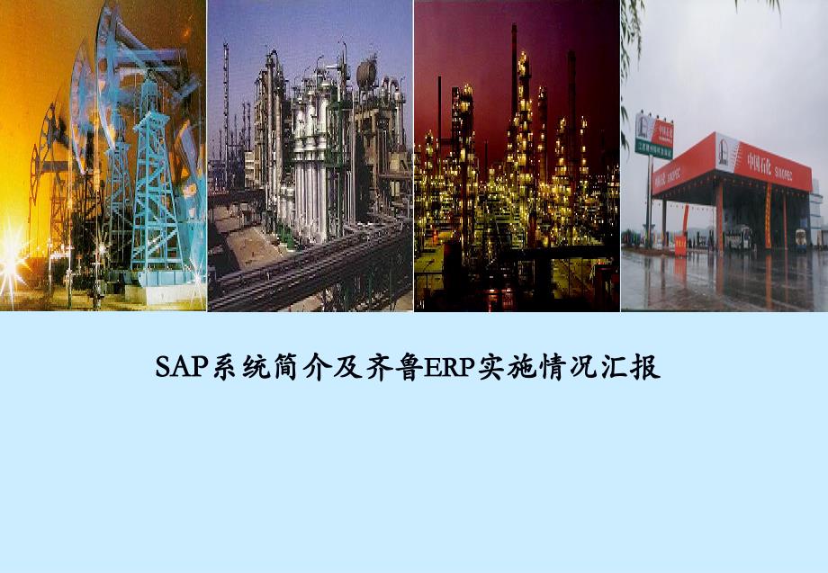 SAP系统简介及齐鲁ERP实施情况汇报_第1页