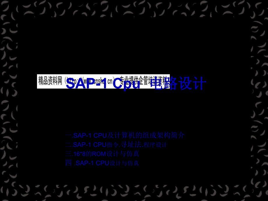 SAP-1CPU及计算机的组成架构介绍_第1页