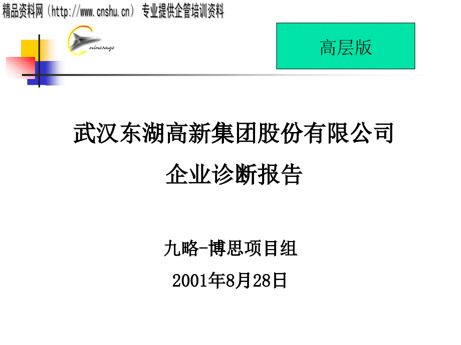 某股份公司診斷報(bào)告_第1頁