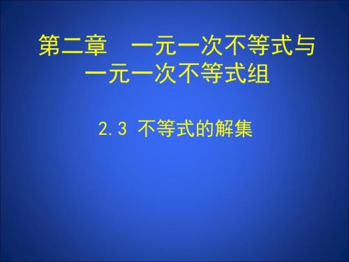 3.不等式的解集 (4)