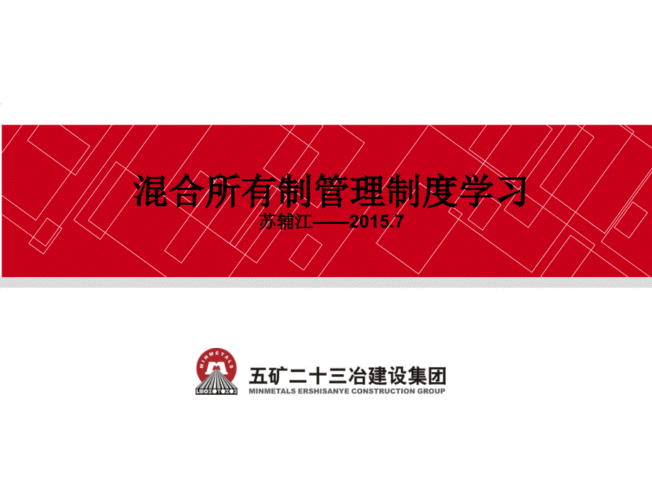 集团公司混合所有制制度学习_第1页