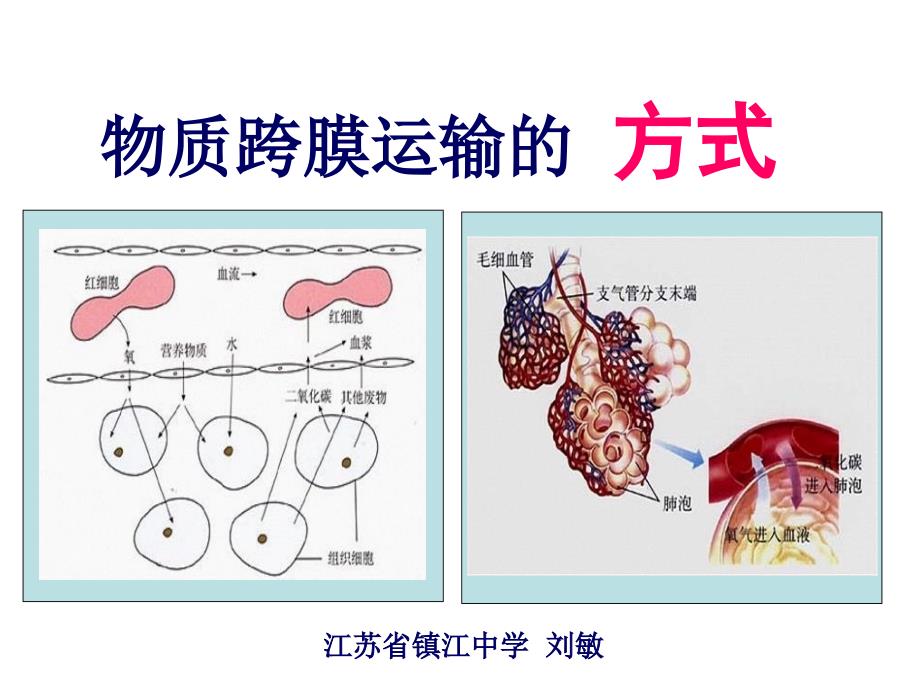 物质的跨膜运输方式_第1页