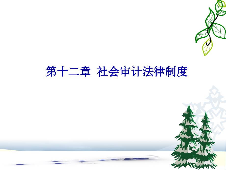 社会审计法律制度培训资料_第1页