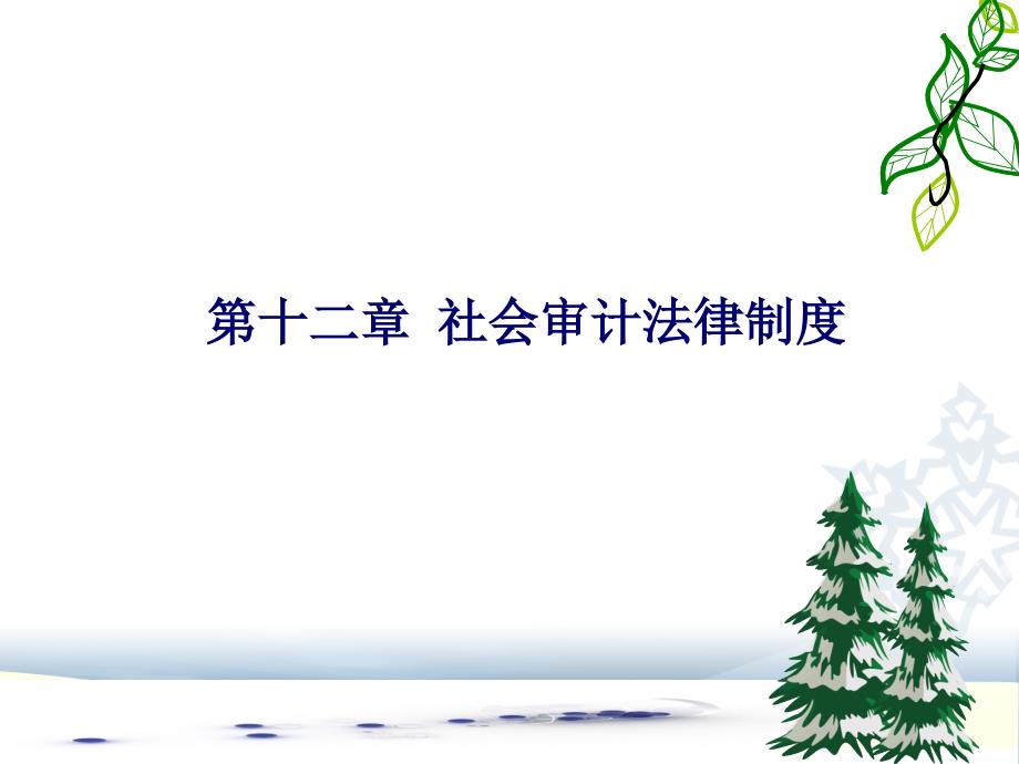 社会审计法律制度培训资料课件_第1页