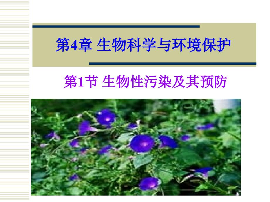 生物科学与环境保护_第1页