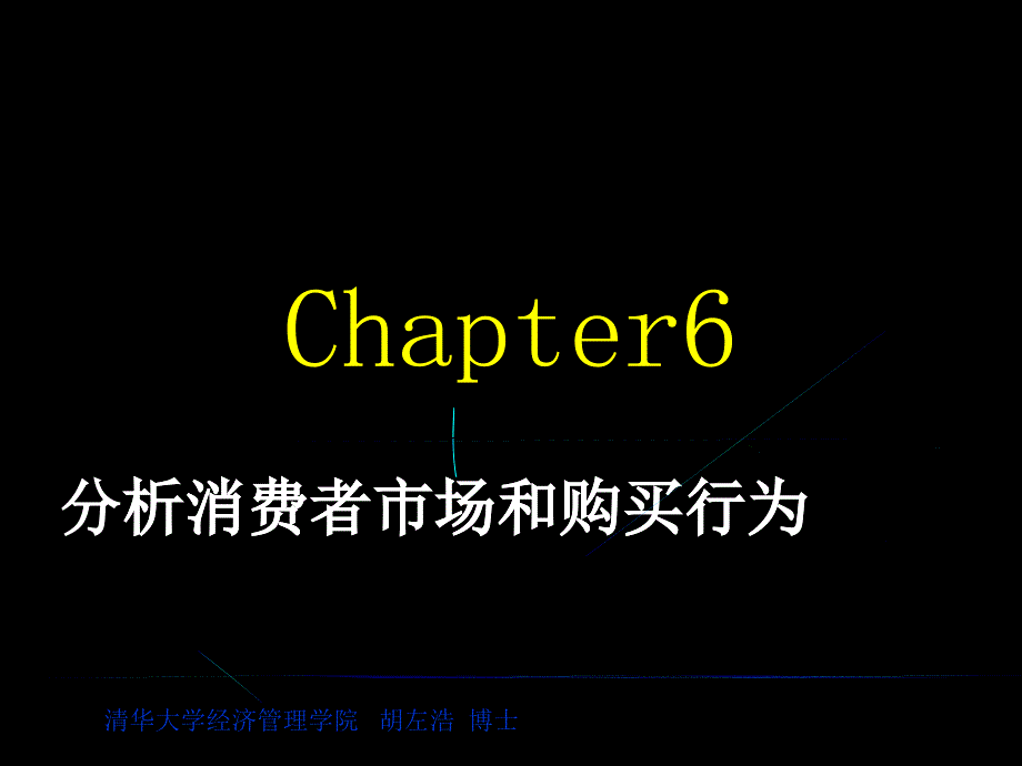 清华大学博士胡左浩分析消费者市场和购买行为培训资料_第1页