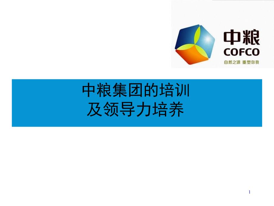 某集团的培训及领导力培养讲义_第1页