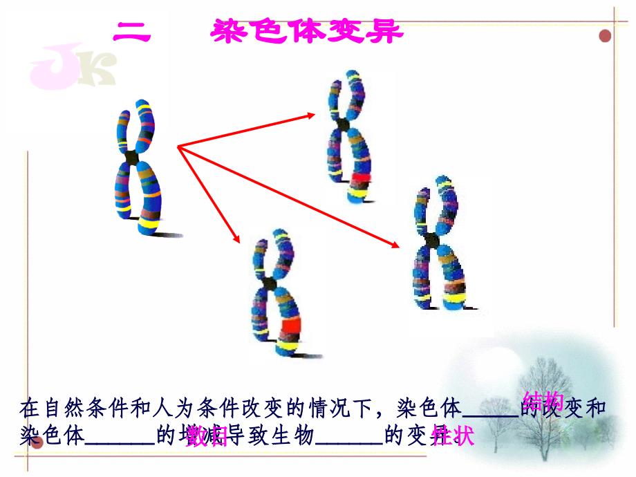 染色体变异ppt课件_第1页