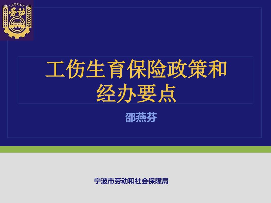 XXXX年企业培训工伤生育保险政策与经办要点_第1页