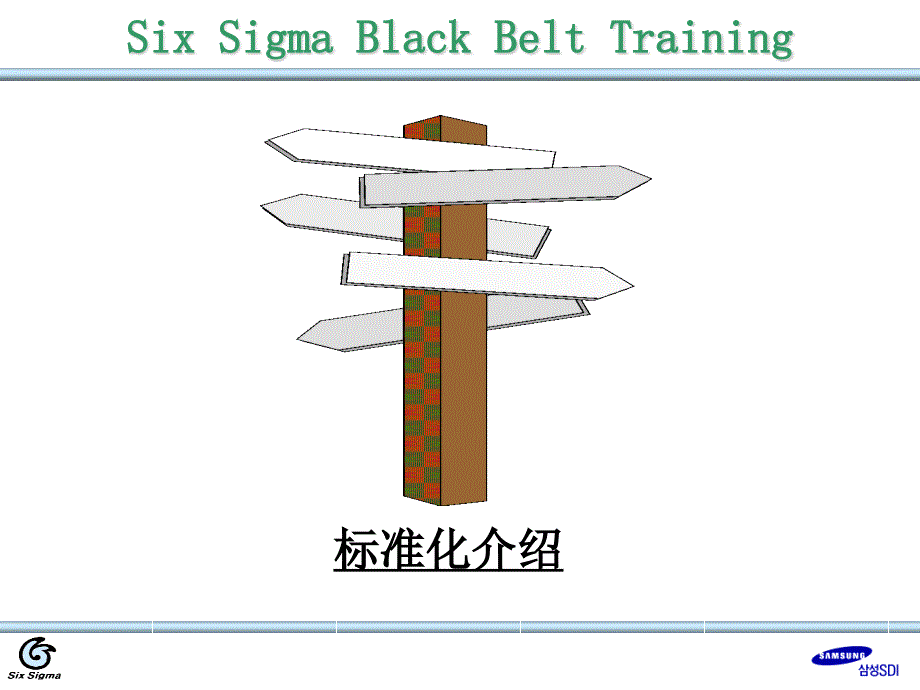 SixSigma黑色的带子训练2_第1页