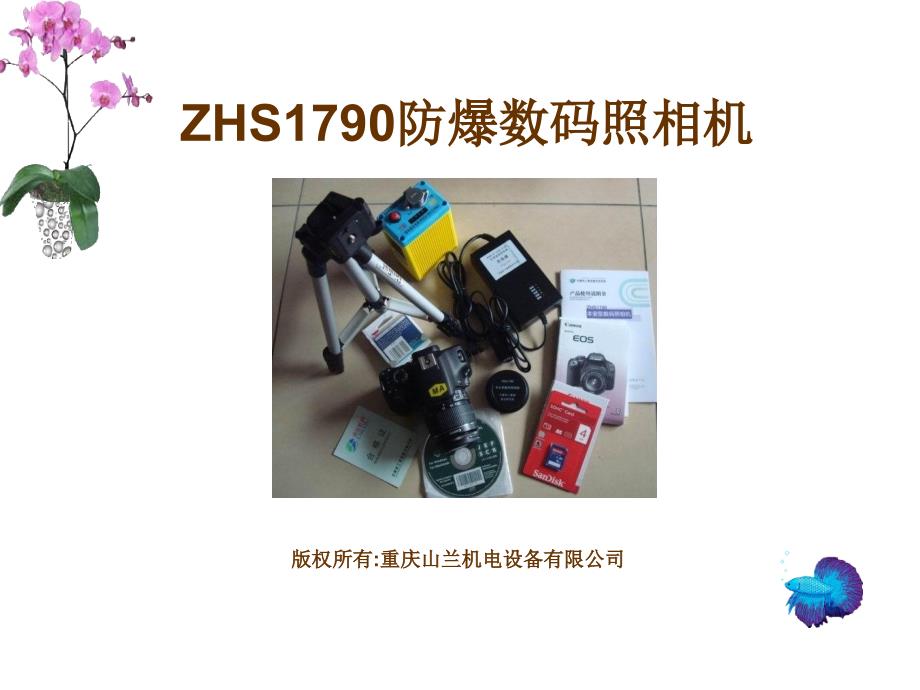 防爆照相機ZHS1790_第1頁