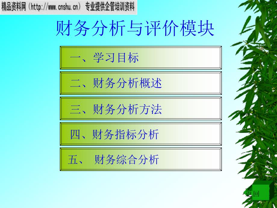 财务分析与评价模块_第1页