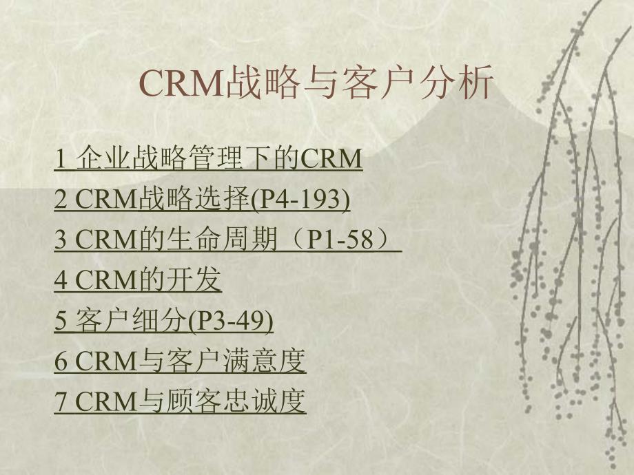 企业战略管理下的CRM战略选择_第1页