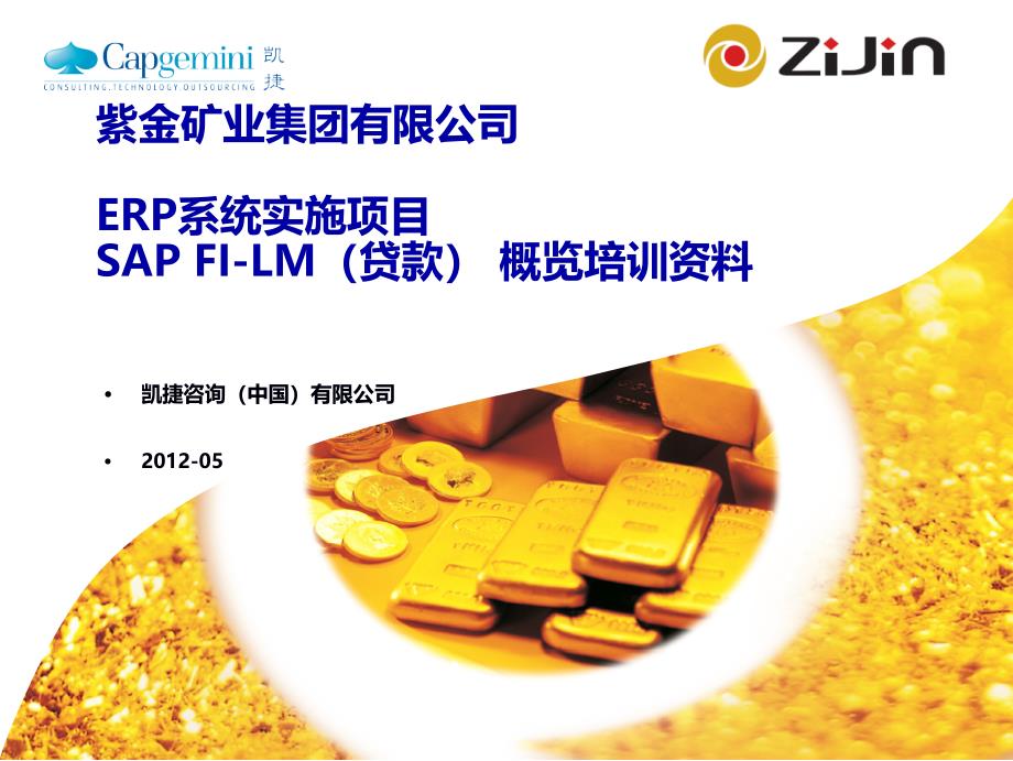 ERP系统实施项目SAPFI-LM（贷款）概览培训资料_第1页