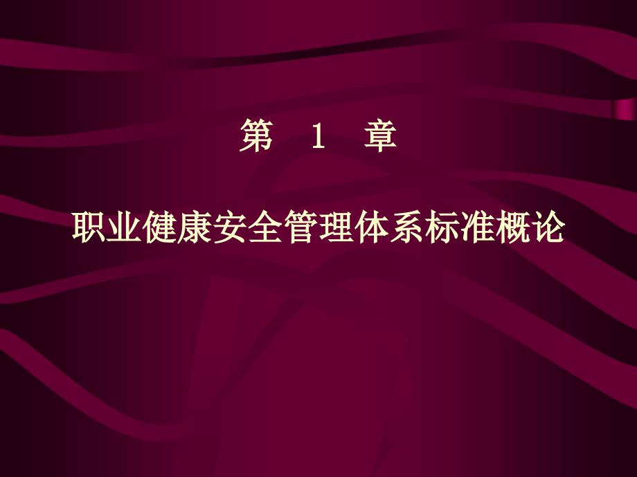 劳动健康安全管理体系标准概论_第1页