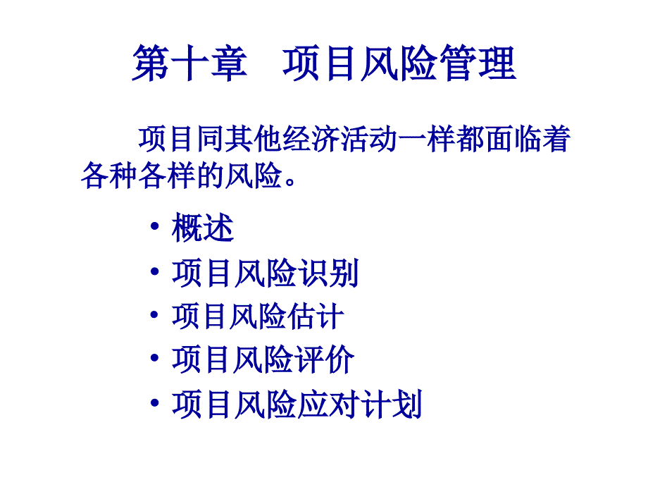 10项目风险管理_第1页