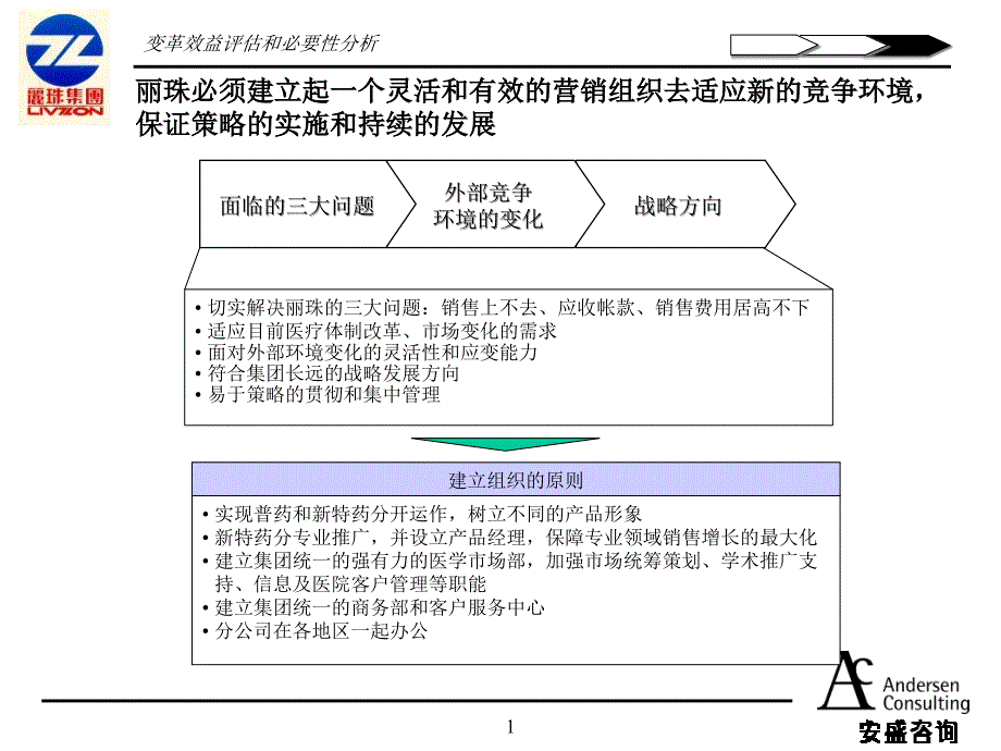 安盛—丽珠企业战略报告_第1页