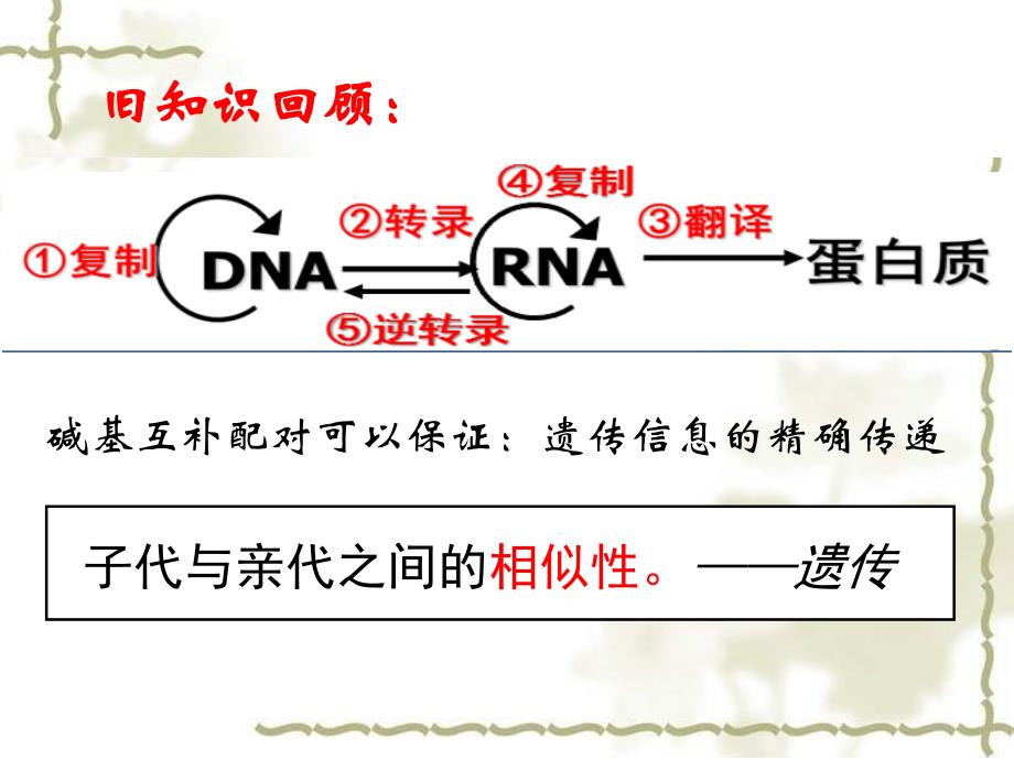 基因突变和基因重组5_第1页