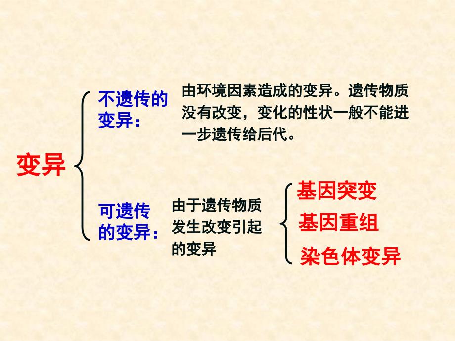 基因突变和基因重组__第1页