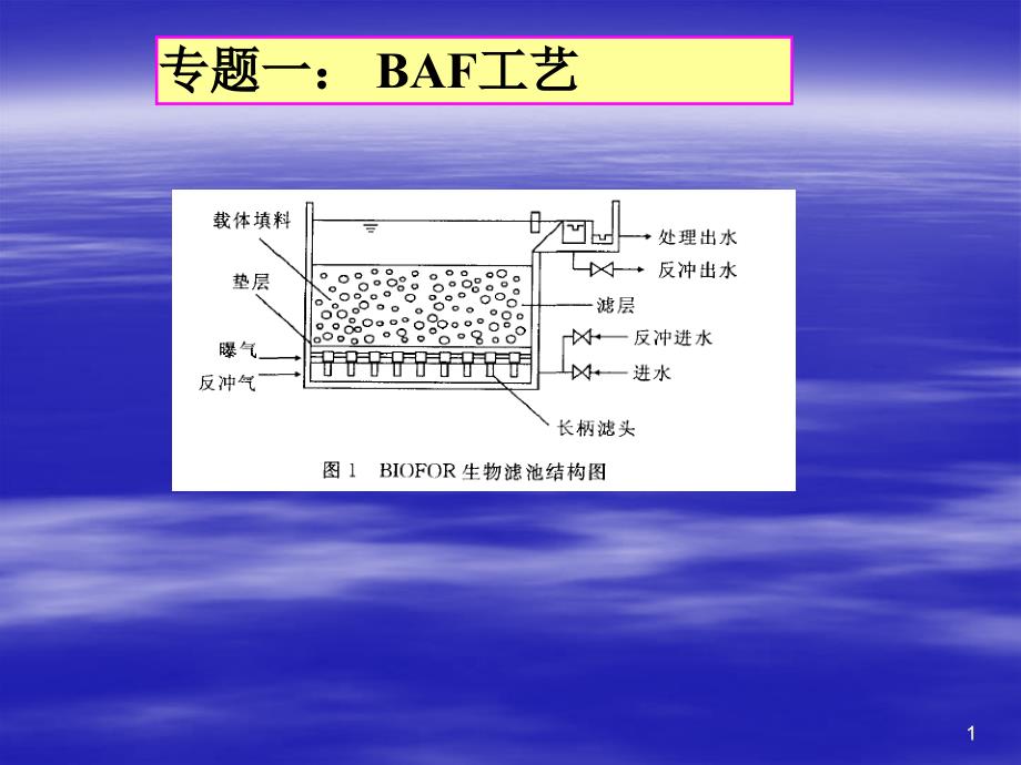 專題一 BAF工藝_第1頁