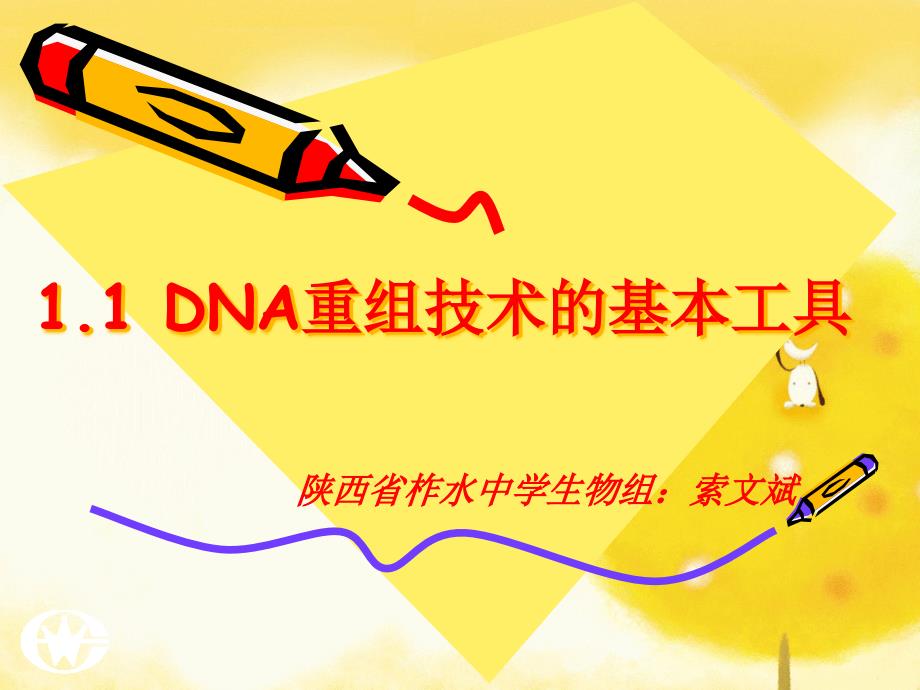 DNA重组技术的基本工具概述_第1页