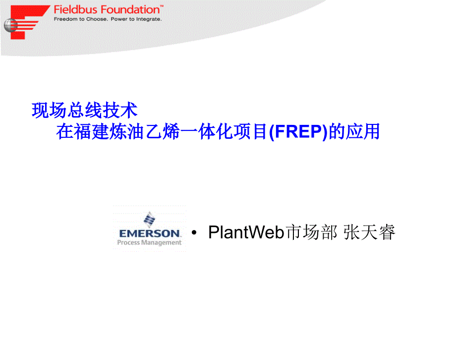 Ff在福建炼油乙烯一体化项目的应用Founda_第1页