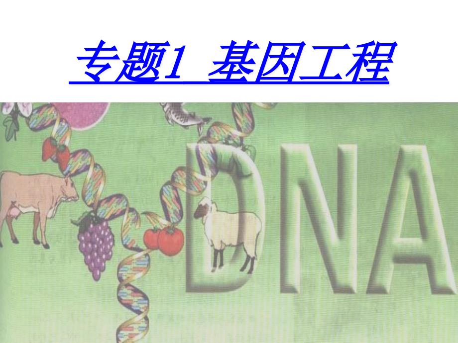 DNA重组技术的基本工具(动画很经典)_第1页